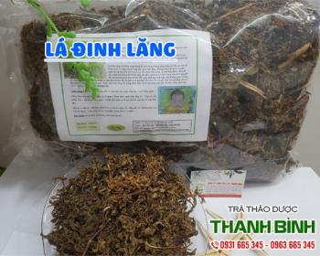 Mua bán lá đinh lăng tại huyện Gia Lâm có công dụng lợi tiểu hiệu quả