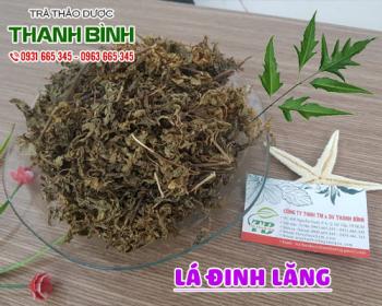 Mua bán lá đinh lăng tại huyện Thanh Oai giúp làm giảm chứng đau bụng