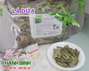 Mua bán lá dứa ở quận Phú Nhuận hỗ trợ cơ thể thanh nhiệt và lợi tiểu