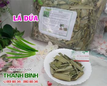 Mua bán lá dứa tại quận Hoàn Kiếm giúp khử mùi đồ ăn và không gian