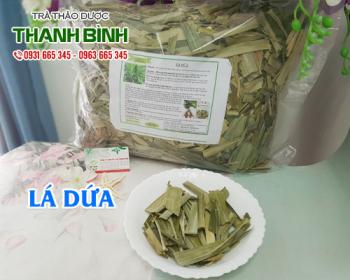 Mua bán lá dứa tại huyện Mê Linh ngăn ngừa lão hóa và thanh lọc cho da