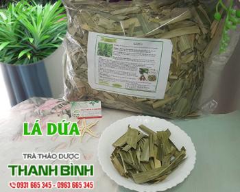 Mua bán lá dứa tại Bắc Giang giúp giảm mùi khó chịu cho món ăn