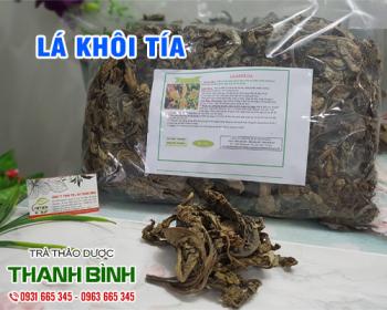 Mua bán lá khôi tía ở quận Tân Bình giúp giảm chứng trướng bụng, ợ hơi