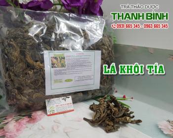 Mua bán lá khôi tía tại quận Ba Đình hỗ trợ điều trị viêm dạ dày rất tốt
