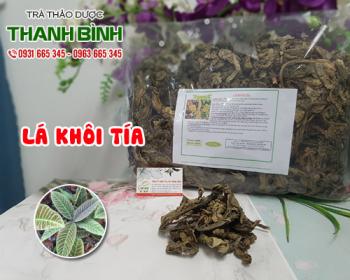 Mua bán lá khôi tía tại huyện Phú Xuyên giảm ho và viêm họng hiệu quả