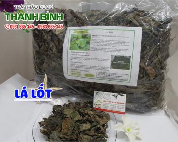 Mua bán lá lốt tại huyện Phú Xuyên điều trị rắn cắn và say nấm rất tốt