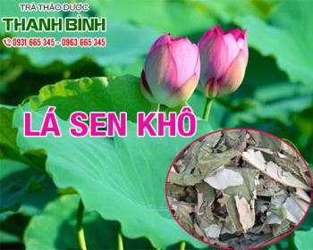Mua bán lá sen khô ở quận Phú Nhuận dùng để giảm căng thẳng và an thần
