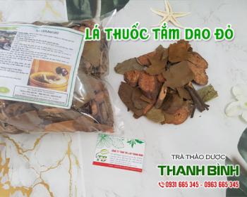 Mua bán lá thuốc tắm Dao đỏ tại huyện Thanh Trì giúp hấp thụ các dưỡng chất