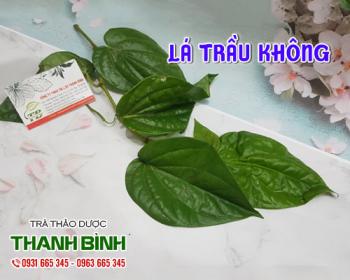 Mua bán lá trầu không tại quận Thanh Xuân điều trị nước ăn kẽ chân và tay