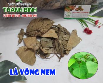Mua bán lá vông nem ở quận Bình Tân có công dụng điều trị giun sán