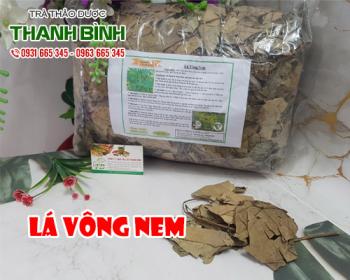 Mua bán lá vông nem ở quận Tân Phú dùng trong thực phẩm chế biến