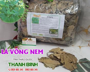 Mua bán lá vông nem tại huyện Thanh Oai hỗ trợ điều trị viêm da rất tốt