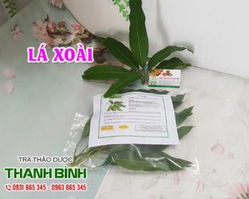 Mua bán lá xoài tại quận Long Biên có thể điều trị tiêu chảy uy tín nhất