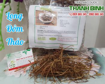 Mua bán long đởm thảo ở quận Tân Phú có thể ổn định huyết áp 