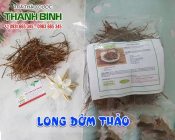 Mua bán long đởm thảo tại huyện Thường Tín giảm thiểu chứng miệng đắng
