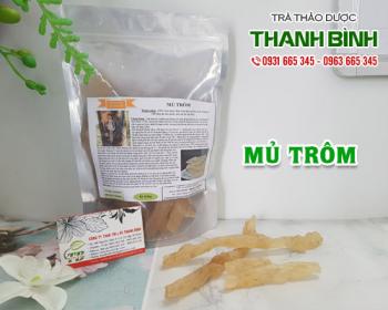 Mua bán mủ trôm tại huyện Thanh Oai tăng cường hấp thu dinh dưỡng