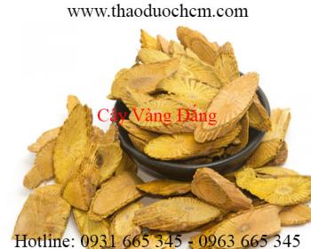 Mua bán cây vàng đắng ở quận Tân Bình giúp điều trị đau bụng tốt nhất