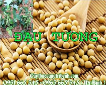 Mua bán đậu tương ở quận Tân Phú giúp điều hòa huyết áp hiệu quả