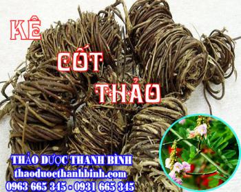 Mua bán kê cốt thảo tại Phú Thọ có tác dụng trị ung nhọt, hạch ở cổ