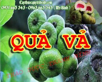 Mua bán quả vả tại Hà Nội uy tín chất lượng tốt nhất
