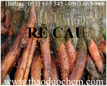 Mua bán rễ cau tại Hà Giang có tác dụng điều trị giun sán hiệu quả