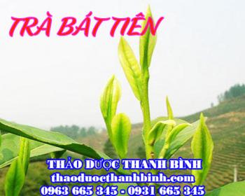 Mua bán trà Bát Tiên tại quận 3 hỗ trợ thanh lọc, giải nhiệt cơ thể