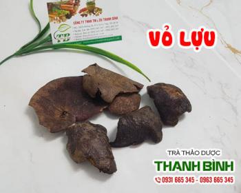 Mua bán vỏ lựu tại huyện Phú Xuyên có tác dụng ngăn ngừa viêm loét dạ dày