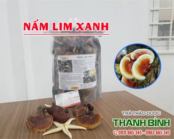 Mua bán nấm lim xanh tại Hà Nội uy tín chất lượng nhất