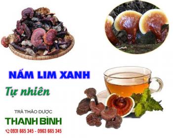 Mua bán nấm lim xanh ở quận Tân Phú có thể hỗ trợ điều trị viêm gan
