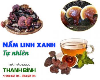 Mua bán nấm linh xanh ở quận Tân Phú có thể hỗ trợ điều trị viêm gan