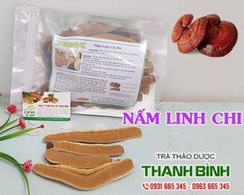 Mua bán nấm linh chi tại huyện Thanh Oai có tác dụng giảm mỡ máu