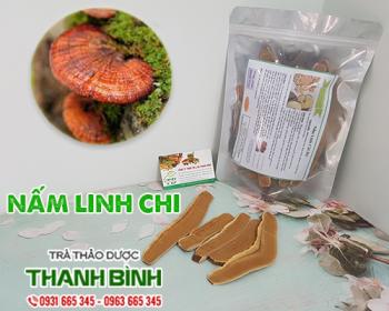 Mua bán nấm linh chi tại Bình Thuận giúp cải thiện chức năng hệ tiêu hóa