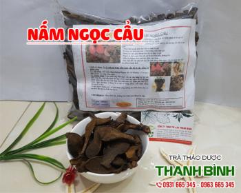 Mua bán nấm ngọc cẩu tại huyện Sóc Sơn giúp hỗ trợ cải thiện hệ tiêu hóa