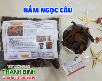 Mua bán nấm ngọc cẩu tại quận Ba Đình giúp tăng cường sinh lý hiệu quả