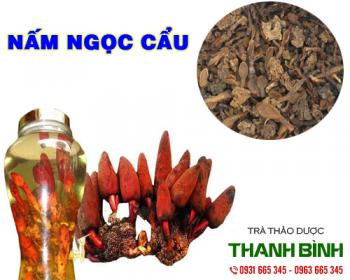 Mua bán nấm ngọc cẩu ở quận Tân Phú sẽ giúp nhanh phục hồi sức khỏe