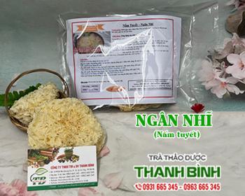 Mua bán ngân nhĩ tại Bình Thuận giúp tốt cho hệ tiêu hóa uy tín nhất