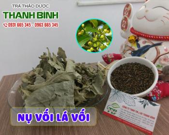 Mua bán nụ vối lá vối tại huyện Thường Tín giúp giải độc lá ngón rất tốt