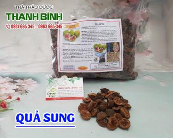 Mua bán quả sung ở quận Tân Phú hỗ trợ bài tiết sỏi thận rất tốt