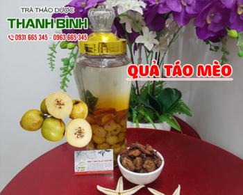 Địa điểm bán quả táo mèo tại Hà Nội trong điều trị đầy bụng tốt nhất
