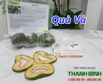 Mua bán quả vả ở quận Bình Thạnh làm giảm chứng khô mắt 