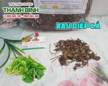 Mua bán rau diếp cá ở quận Bình Tân có tác dụng điều trị mẩn ngứa