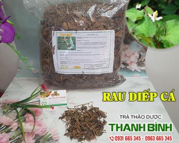 Địa chỉ bán rau diếp cá hỗ trợ thanh nhiệt cơ thể tại Hà Nội 