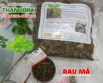 Mua bán rau má tại huyện Thanh Trì được dùng làm mỹ phẩm cho da