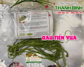 Mua bán rau tiến vua ở quận Tân Phú có công dụng giúp chống lão hóa