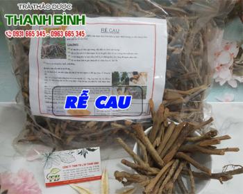 Mua bán rễ cau ở huyện Bình Chánh có khả năng diệt giun sán