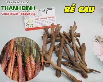 Mua bán rễ cau ở quận Tân Phú kháng nấm và kháng vi khuẩn