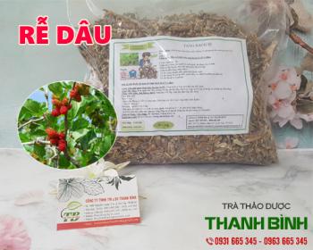 Mua bán rễ dâu ở quận Tân Phú làm giảm đau nhức hiệu quả