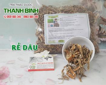 Mua bán rễ dâu tại quận Thanh Xuân có tác dụng giúp điều trị ho gà