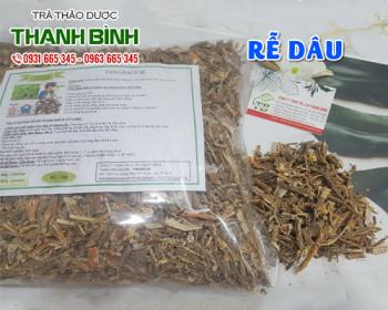Mua bán rễ dâu uy tín chất lượng tốt nhất tại Hà Nội