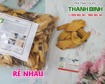 Mua bán rễ nhàu tại huyện Thanh Trì có khả năng phòng ngừa ung thư 